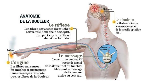 Douleurs chroniques